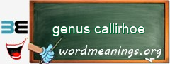 WordMeaning blackboard for genus callirhoe